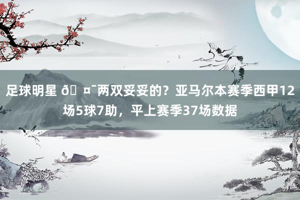 足球明星 🤯两双妥妥的？亚马尔本赛季西甲12场5球7助，平上赛季37场数据