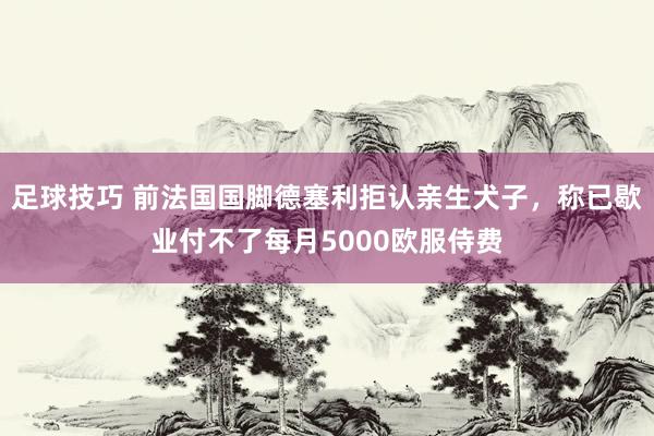 足球技巧 前法国国脚德塞利拒认亲生犬子，称已歇业付不了每月5000欧服侍费