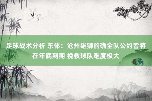 足球战术分析 东体：沧州雄狮的确全队公约皆将在年底到期 挽救球队难度极大