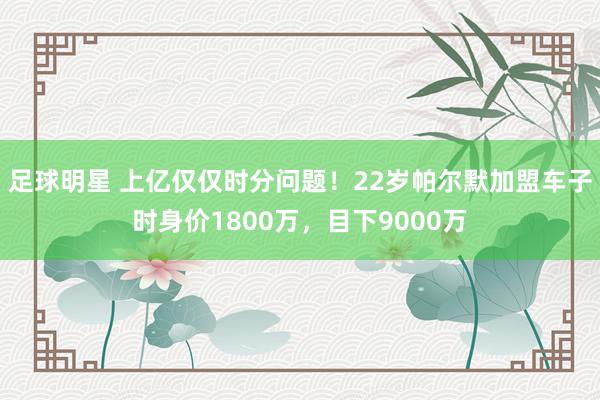 足球明星 上亿仅仅时分问题！22岁帕尔默加盟车子时身价1800万，目下9000万