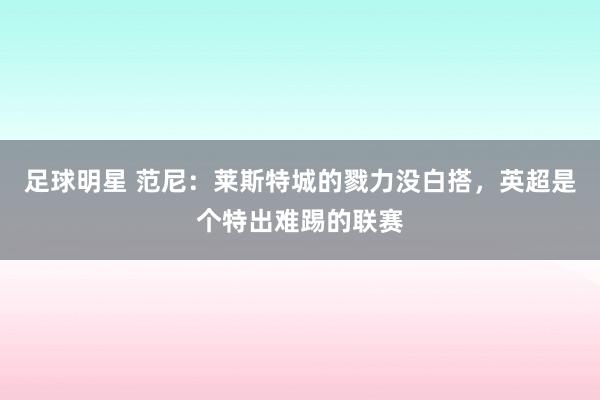 足球明星 范尼：莱斯特城的戮力没白搭，英超是个特出难踢的联赛