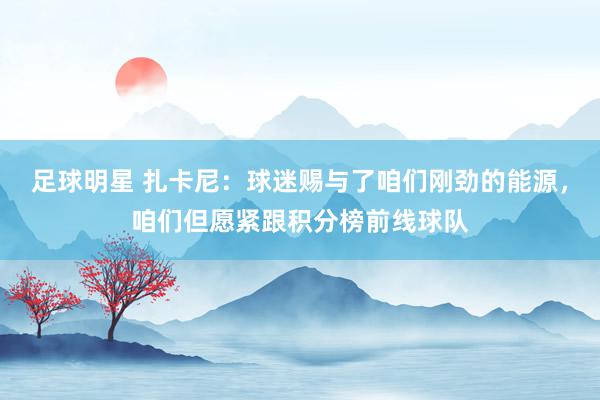 足球明星 扎卡尼：球迷赐与了咱们刚劲的能源，咱们但愿紧跟积分榜前线球队